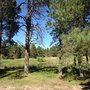 Photo of Wonderland Ranch