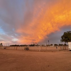 Hooves ‘n Hearts Equine Rehab & Rescue - Sunset