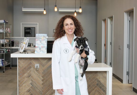 traveling vet clinic