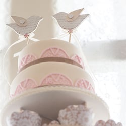 Sweet Lips Cake Studio - Cake, cake , cake! Delicious cake!