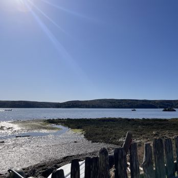 Hog Island Oyster - Beautiful view - Seafood Near Me - Marshall, California Hog Island Oyster - Beautiful view - Seafood Near Me - Marshall, California