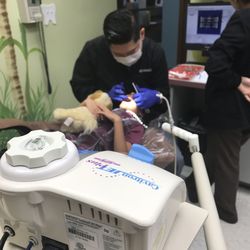 Children's Dental Care of Garland