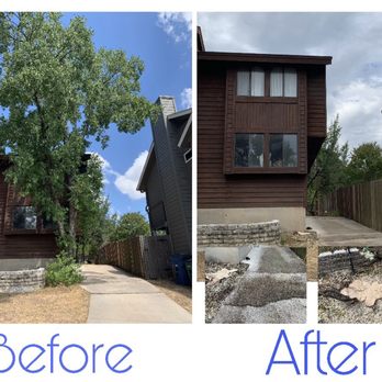 Silver Tree Care - Big tree causing foundation issue was taking care of! Our driveway was cracking due to tree/roots growing... - Tree Services Near Me Silver Tree Care - Big tree causing foundation issue was taking care of! Our driveway was cracking due to tree/roots growing... - Tree Services Near Me