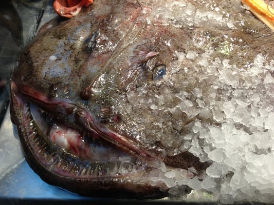 TorvehallerneKBH by null TorvehallerneKBH by null