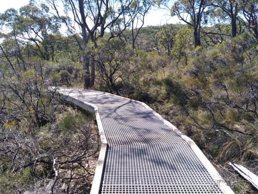 Cleland National Park by null