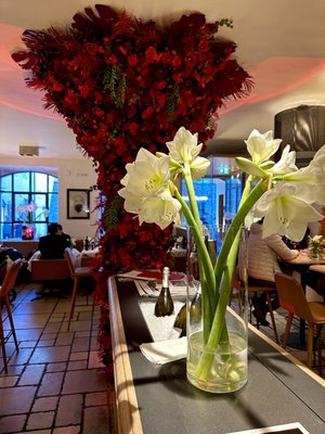 Restaurant Blaue Gans Salzburg Gasthaus by null