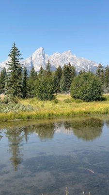 Schwabacher Landing by null