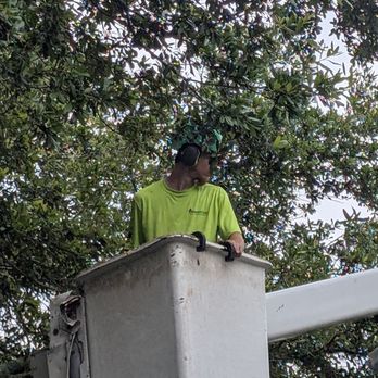 ArborCare Tree Management - In the bucket - Tree Services Near Me - Holly Ridge, North Carolina ArborCare Tree Management - In the bucket - Tree Services Near Me - Holly Ridge, North Carolina