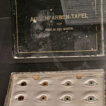 Deutsches Hygiene-Museum - Museums Near Me - Dresden, SN