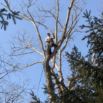 N&R Outdoor Solutions - Tree Services Near Me - Pontiac, Michigan N&R Outdoor Solutions - Tree Services Near Me - Pontiac, Michigan