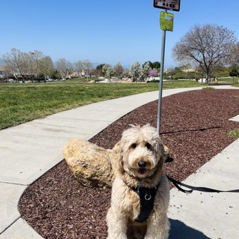 Fowler Creek Park - Perfect weather with my 4-legged nephew. - Parks Near Me - San Jose, California Fowler Creek Park - Perfect weather with my 4-legged nephew. - Parks Near Me - San Jose, California