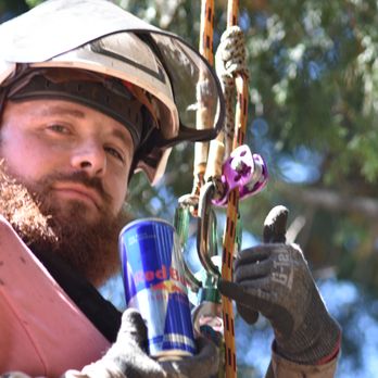 Arbor Health Tree Care - Conner Cicogni(Owner operator) - Tree Services Near Me Arbor Health Tree Care - Conner Cicogni(Owner operator) - Tree Services Near Me