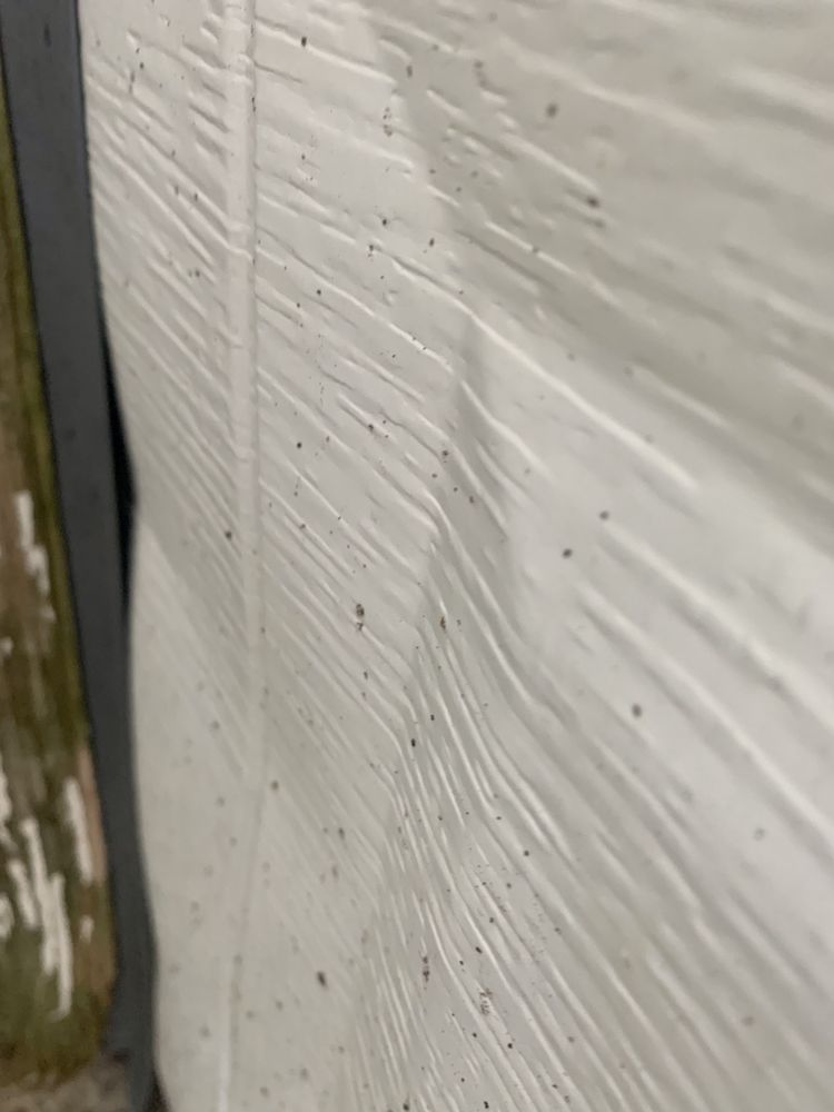 919 WEST SALON Updated September 2024 13 Photos 919 W Milham Ave