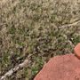 Photo of Plant It Earth