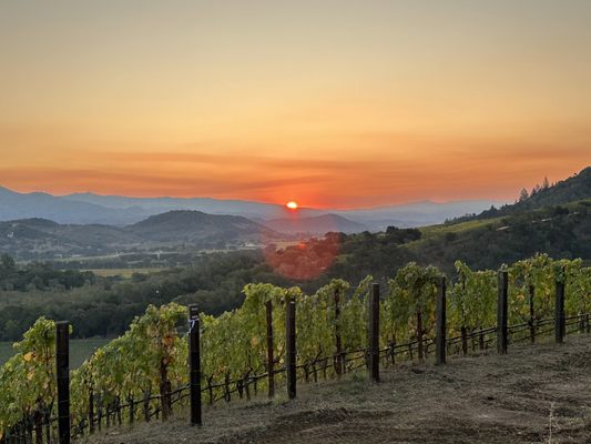 Promontory Winery by null