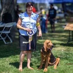 The K9 Mentor