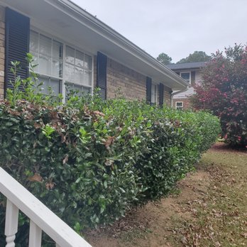 Ez Cuts Lawncare - Before hedges were trimmed - Landscaping Near Me - Conyers, Georgia Ez Cuts Lawncare - Before hedges were trimmed - Landscaping Near Me - Conyers, Georgia