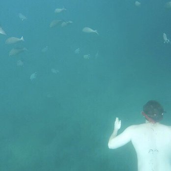 South Florida Diving Headquarters - Boating Near Me - Pompano Beach, Florida