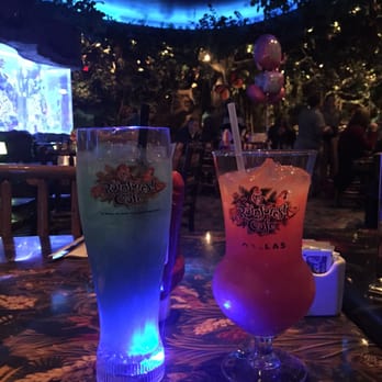 Rainforest Cafe - American Near Me - Grapevine, Texas Rainforest Cafe - American Near Me - Grapevine, Texas