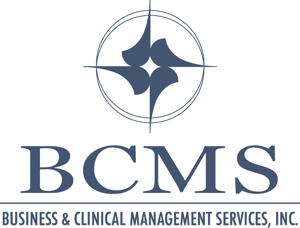 Business & Clinical Management Services - safety consultant in Spring, TX