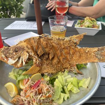 Papa's Raw Bar - Fried Hogfish! - Seafood Near Me - Lighthouse Point, Florida Papa's Raw Bar - Fried Hogfish! - Seafood Near Me - Lighthouse Point, Florida