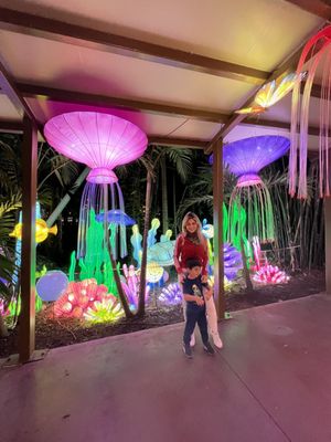 Jungle Island by null