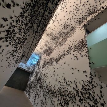 Phoenix Art Museum - Black Cloud - Art Museums Near Me - Phoenix, Arizona