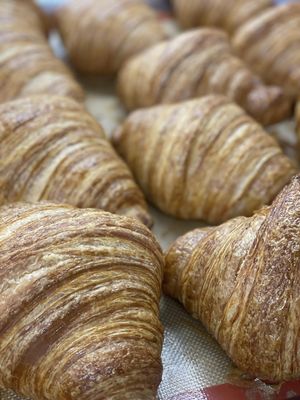 Brunos Bakery NYC by null