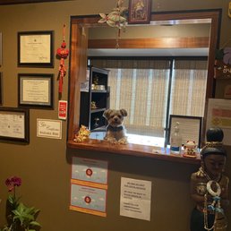 Cute receptionist