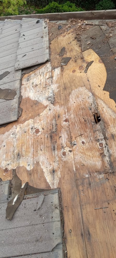 Slide of Scorpion Roofing