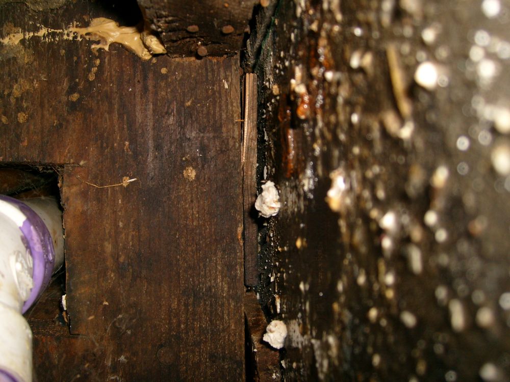 Slide of Mr Plumbing