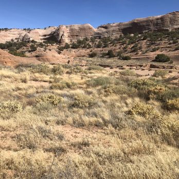 Red Rock State Park - Trail - Parks Near Me - Gallup, New Mexico