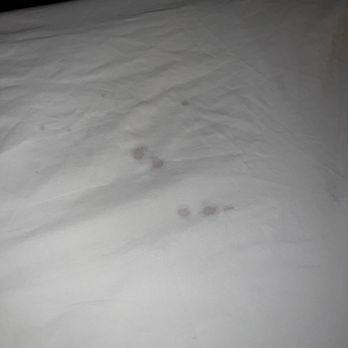 Carmel Mission Inn - Bedsheet stains - night 1 - Hotels Near Me - Carmel, California Carmel Mission Inn - Bedsheet stains - night 1 - Hotels Near Me - Carmel, California