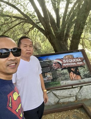 Sequoia National Park's Tunnel Log by null