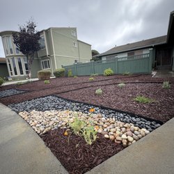 The Landscaping Croc - Low maintenance landscape installation