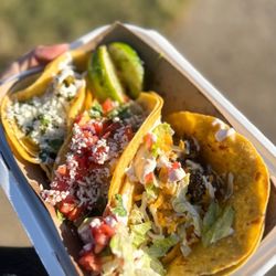 Doce Taqueria
