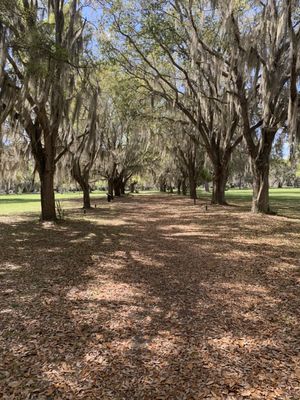 Fort Frederica National Monument by null