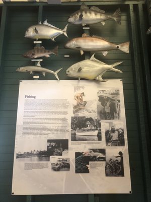 Museum of the Everglades by null