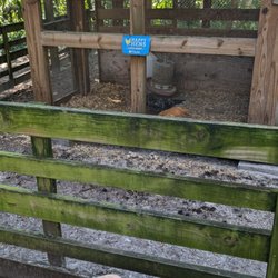 Tree Hill Jacksonville's Nature Center - Chickens