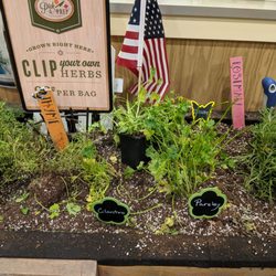 Lowes Foods - Clip your own herbs!