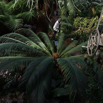 Lincoln Park Conservatory - Parks Near Me - Chicago, Illinois
