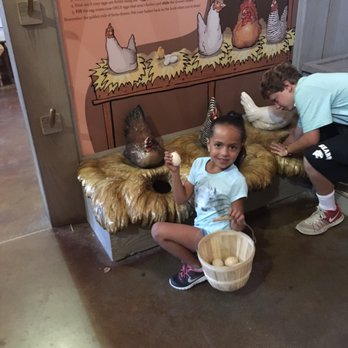 Historic Wagner Farm - Collecting eggs - Farmers Market Near Me - Glenview, Illinois Historic Wagner Farm - Collecting eggs - Farmers Market Near Me - Glenview, Illinois