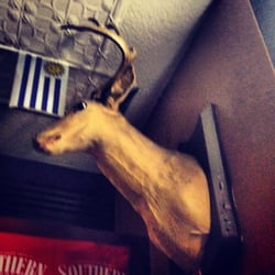 Mooseheads - The moosehead