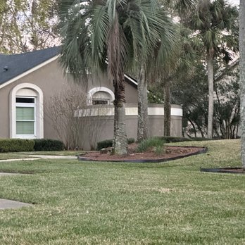 Mulch For You - Pine straw mulch looks good - Landscaping Near Me - Longwood, Florida Mulch For You - Pine straw mulch looks good - Landscaping Near Me - Longwood, Florida