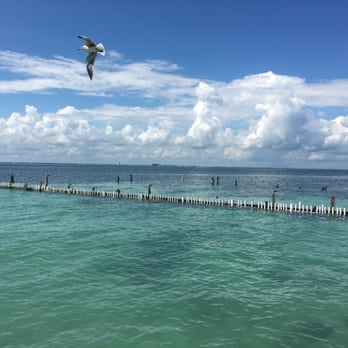 Tortuganja / Turtle Farm - Parks Near Me - Quintana Roo, ROO