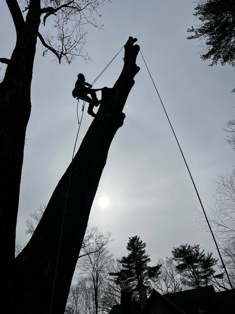 Deep Woods Tree and Landscape - tree service in Boscawen, NH