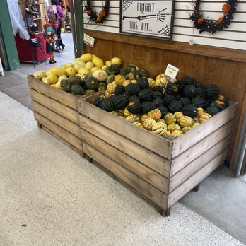 Weber's Farm - squash - Bakeries Near Me - Parkville, Maryland Weber's Farm - squash - Bakeries Near Me - Parkville, Maryland