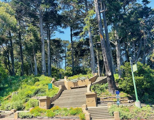 Buena Vista Park by null