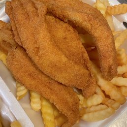 Tilapia