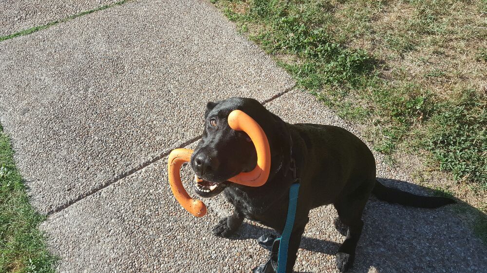 Slide of Assurance Roofing